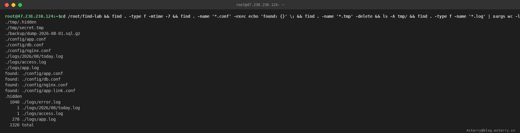 find 进阶：按时间过滤、-exec 批量输出、-delete 删除、xargs 统计