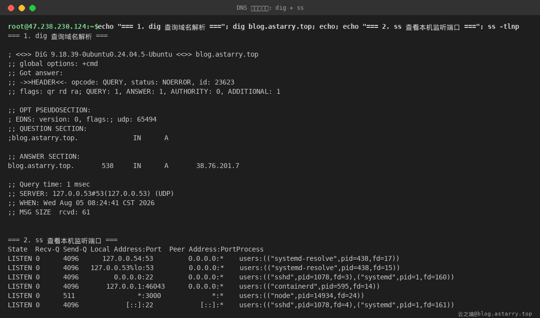 dig 与 ss 实测:域名解析到 38.76.201.7,监听端口与进程一目了然